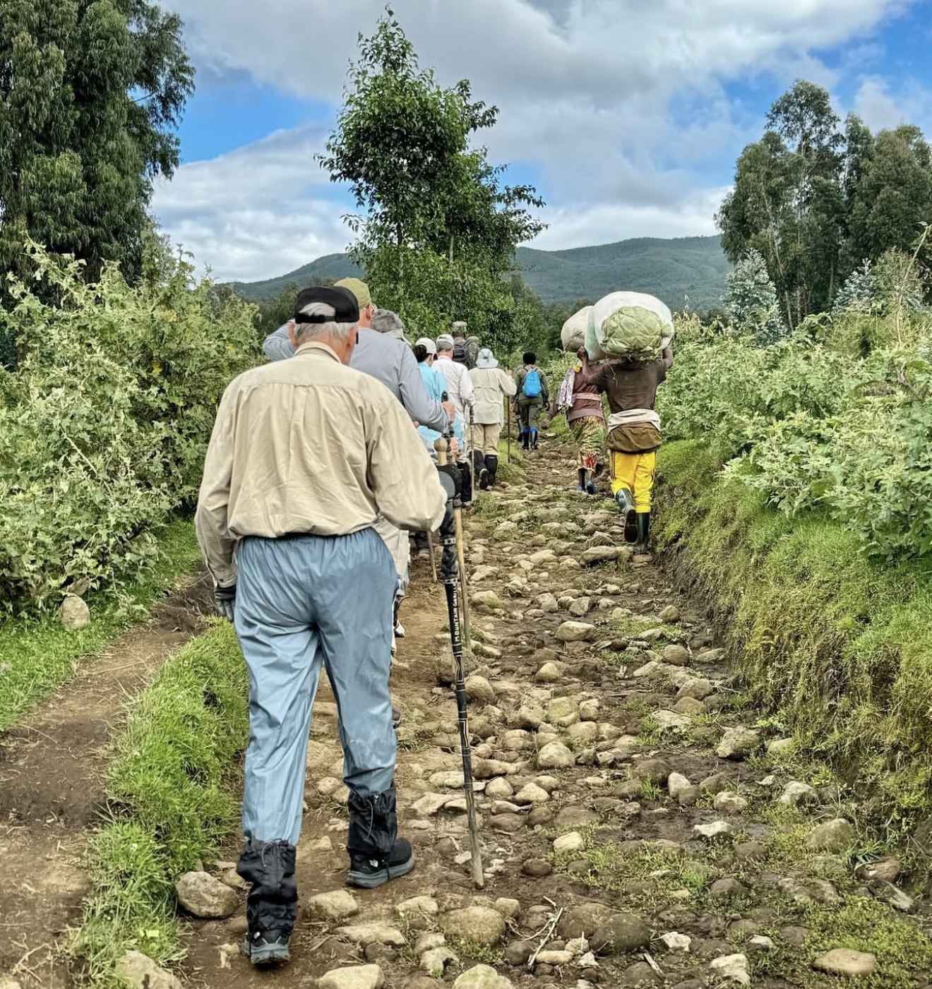 Gorilla Trekking Tour in Volcanoes NP