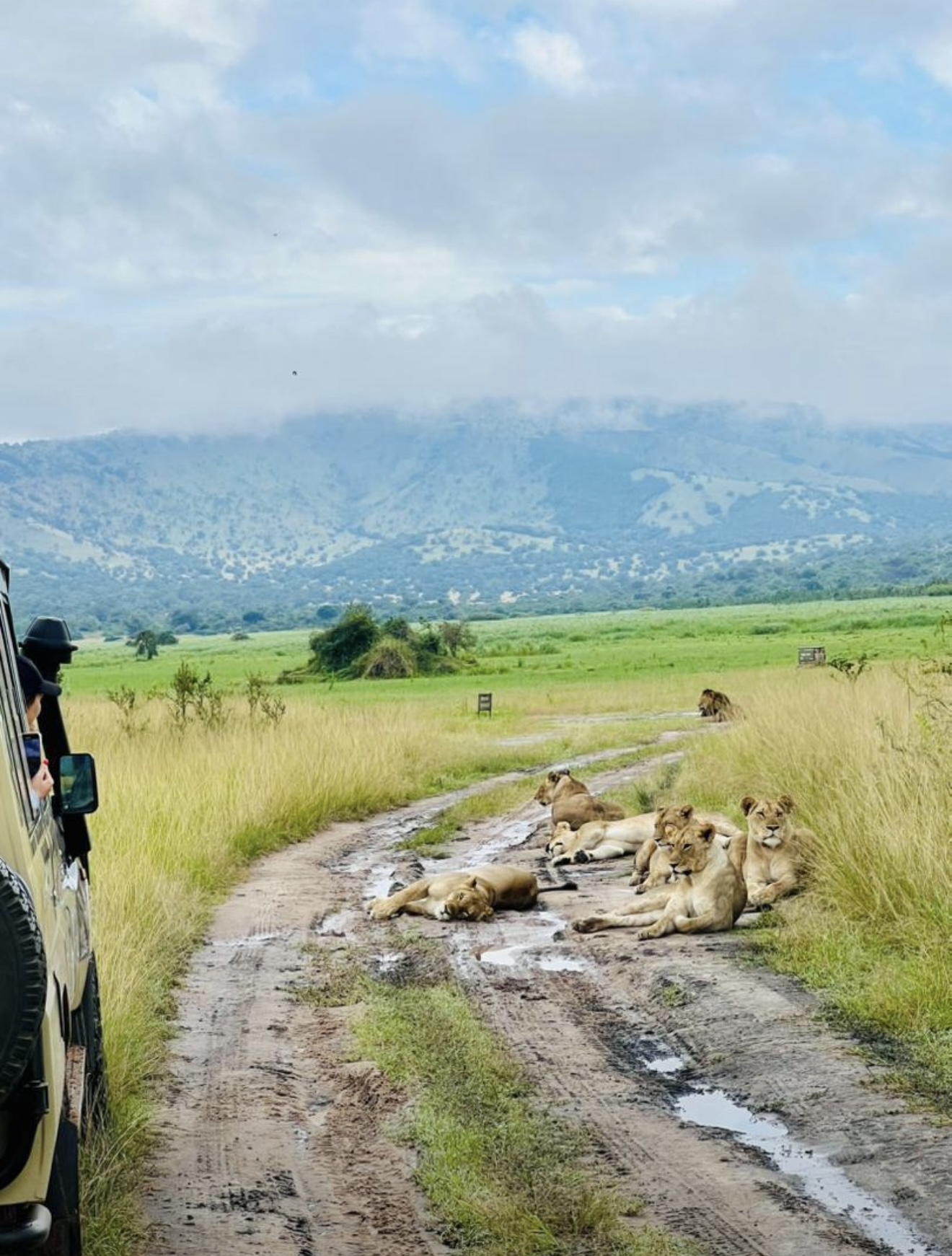 Rwanda & Uganda Wildlife Safari