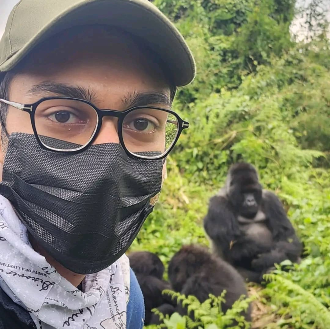 Gorilla Trekking Tour in Volcanoes NP