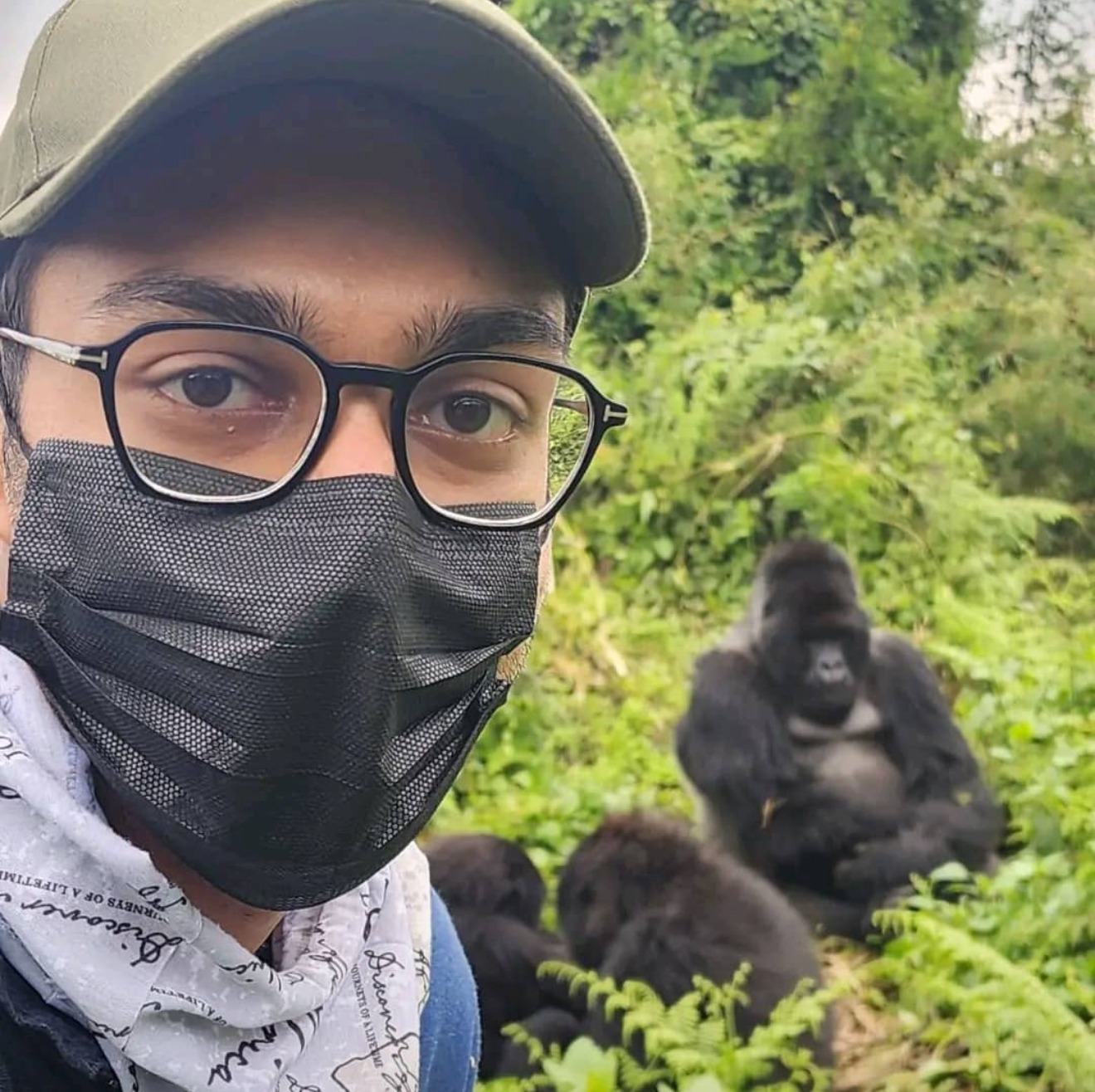 3-Day Gorilla Trekking Adventure, Lake Kivu & Volcanoes Experience